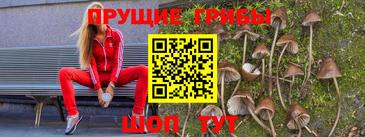 Галлюциногенные грибы MAGIC MUSHROOMS  Галлюциногенные грибы мицелий  Вход с VPN  Артёмовский 
