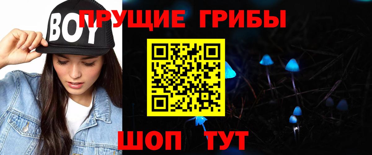 Псилоцибиновые грибы мухоморы Артёмовский